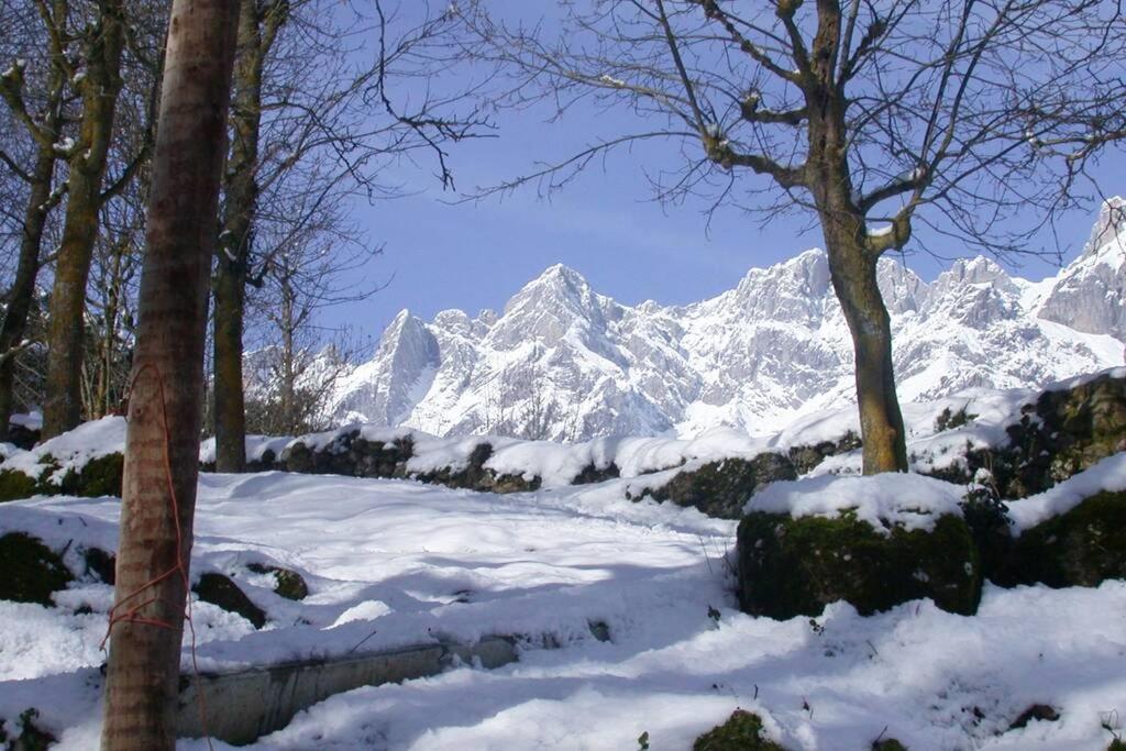 Aire De Montana - Estupendas Vistas A Los Picos Baro  外观 照片
